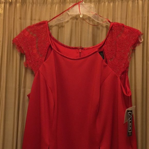 Alex evenings - Picture 6 of 15